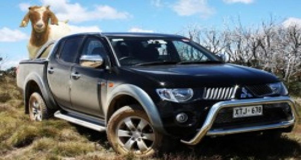 L’offre commerciale du jour vient de Nouvelle-Zélande…