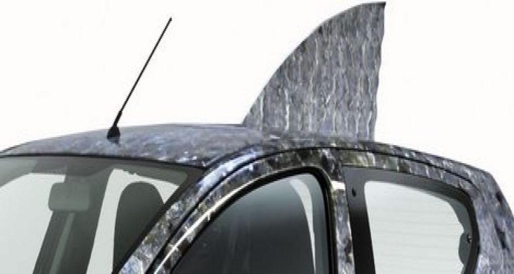 Suzuki Splash ? Non Alto simili poisson…