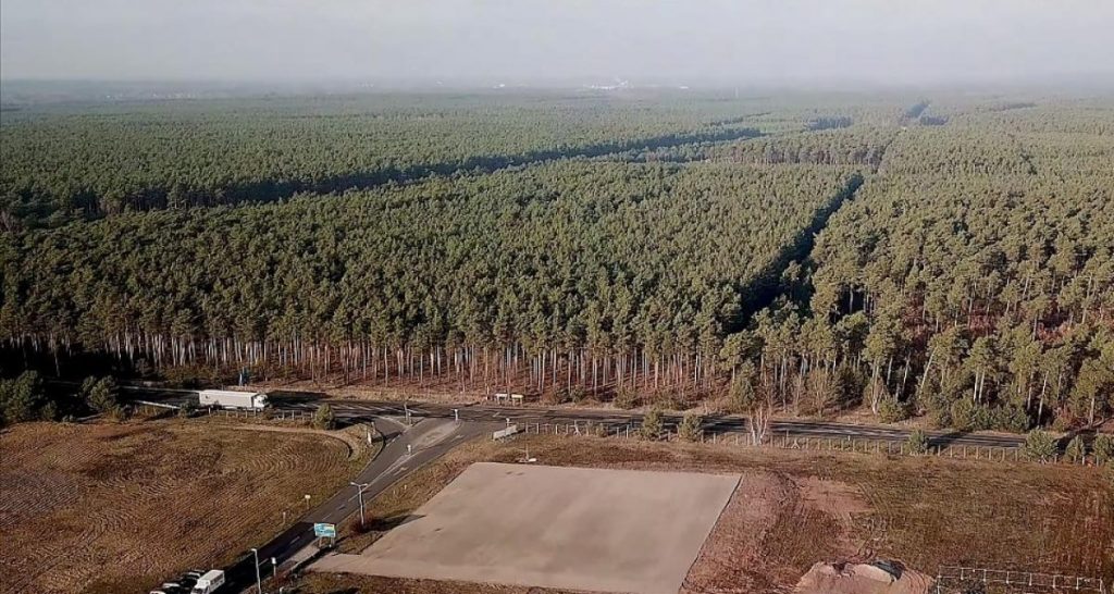 En Allemagne, l’usine Tesla attise les divisions entre écologistes
