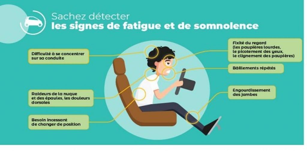 Radis, poisson, kiwi: trio gagnant pour la vigilance au volant