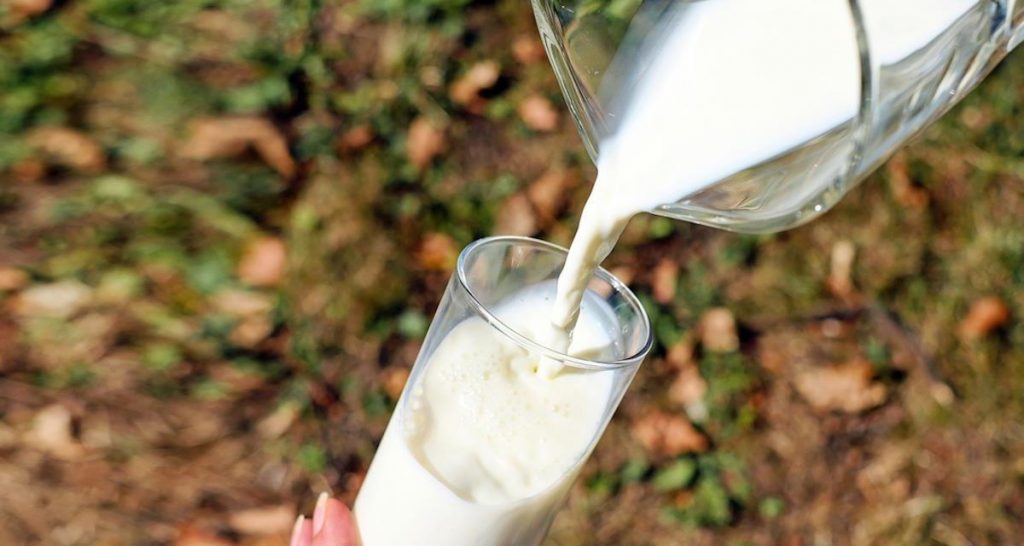 Insolite : mettre du lait (ou presque) dans son moteur