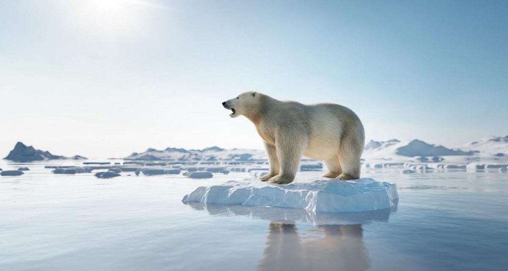 Seuil de +1,5°C : 1 « chance » sur 2 d’un dépassement d’ici 5 ans