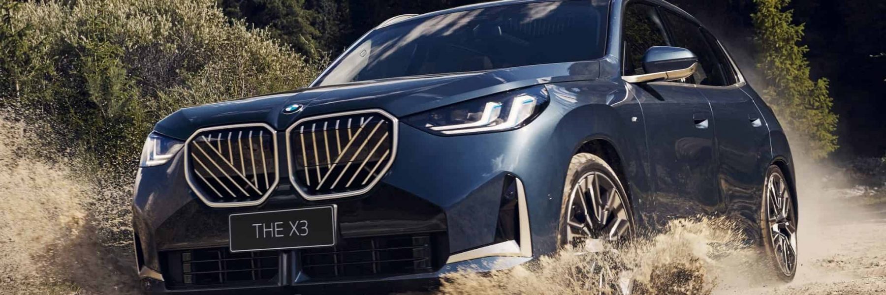BMW X3L