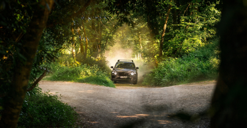 Bentley Bentayga : la nouvelle collection d’accessoires pour animaux de compagnie allie luxe, confort et sécurité