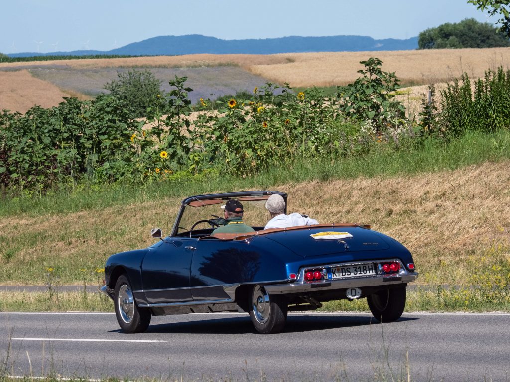 (C) Ermell - CC BY-SA 4.0 (C) Ermell - CC BY-SA 4.0