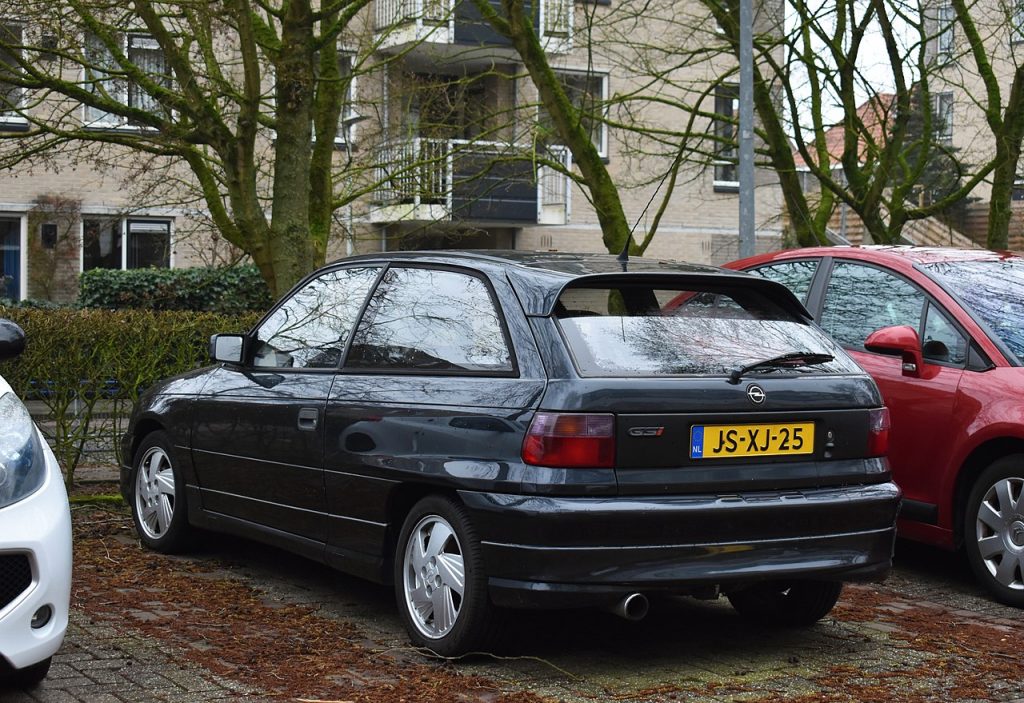 (C) Dennis Elzinga -CC BY-SA 2.0