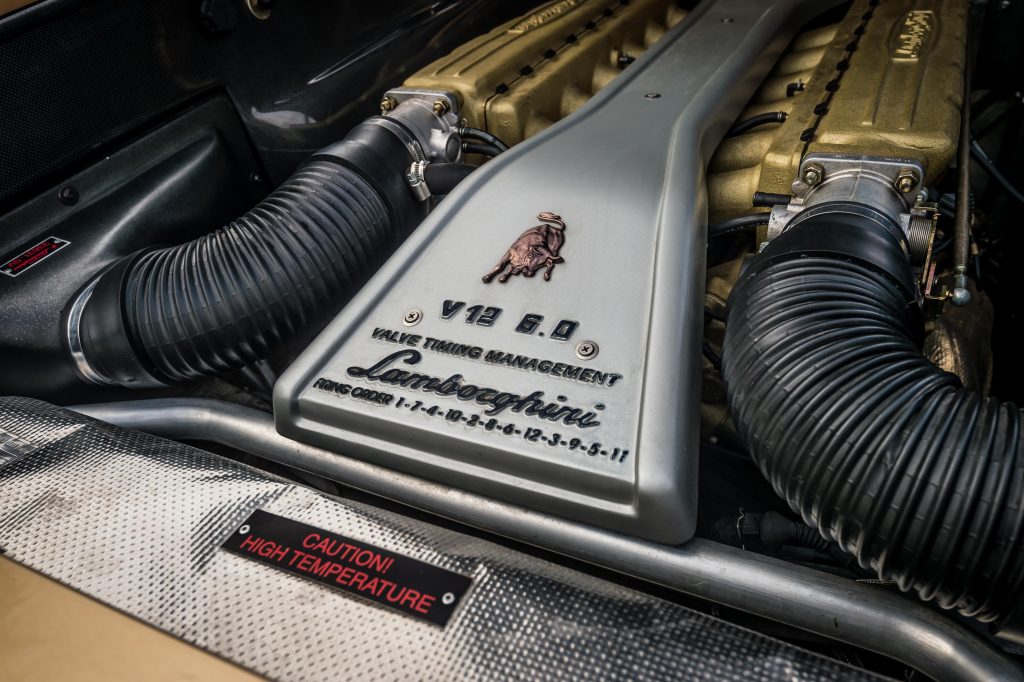 Le coeur de la b&ecirc;te