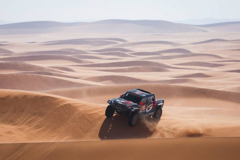 Legendog Bandana De Princesse Mignonne En Dentelle Pour Chats Et Petits Chiens, Tenue Rose Pour Fête D'anniversaire