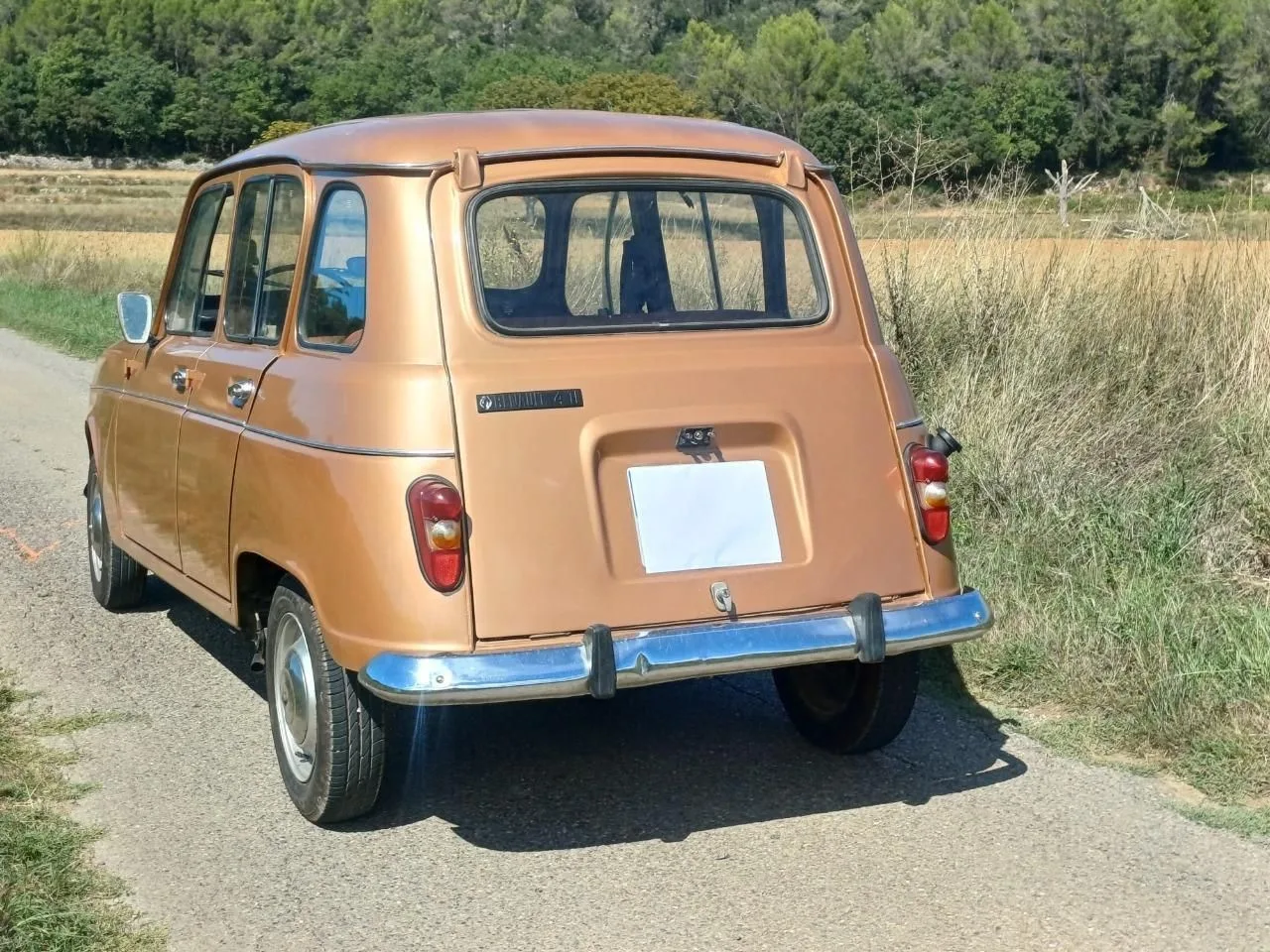 L’ancienne du jour : Renault 4L de 1976 à vendre, une deuxième main d'origine, sans rouille, en teinte rarissime